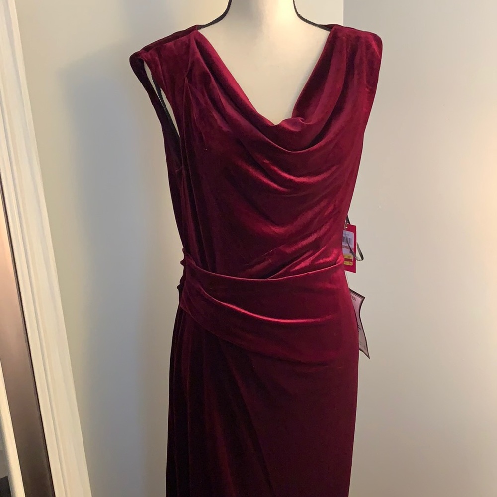 Gown -Velvet -gorgeous color - Picture 1 of 8